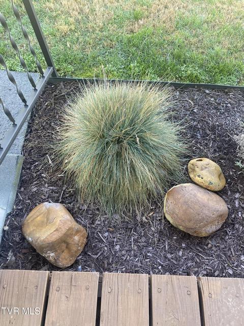 Photo #17: 1415 Church Street