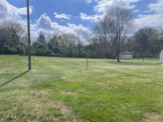 Photo #10: 831 Old Hwy 11 W 