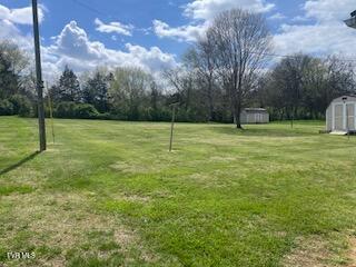 Photo #11: 831 Old Hwy 11 W 