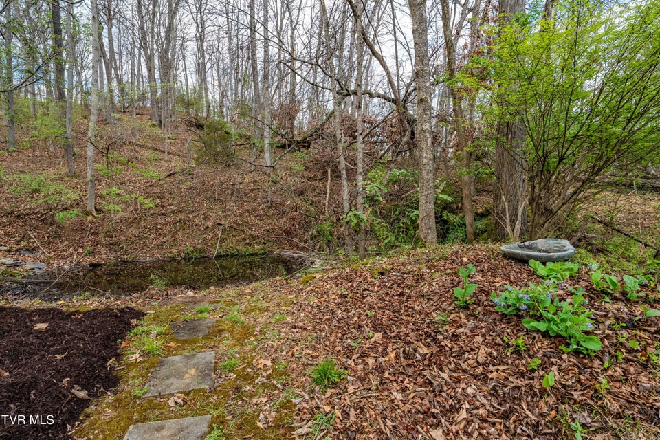 Photo #89: 102 Tracy Lane