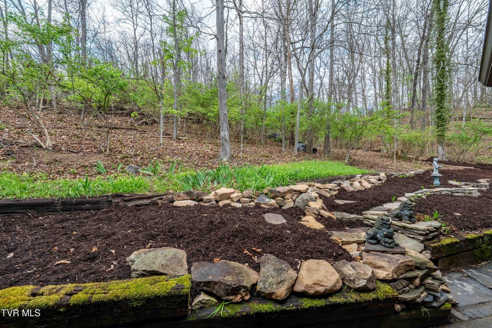 Photo #95: 102 Tracy Lane