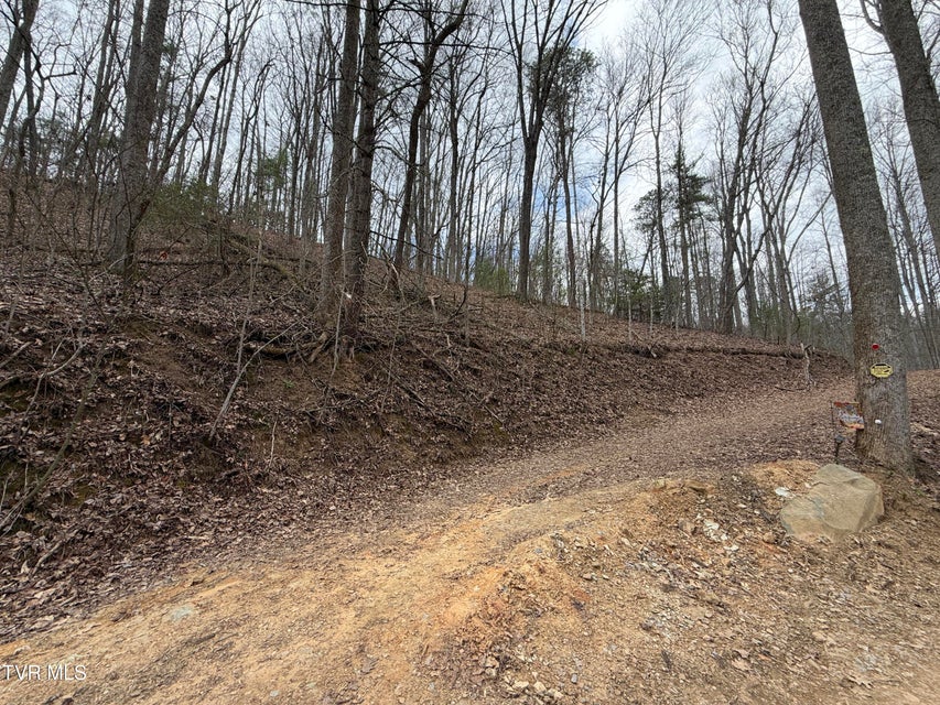 Photo #8: 4.01 Reece Hollow Road