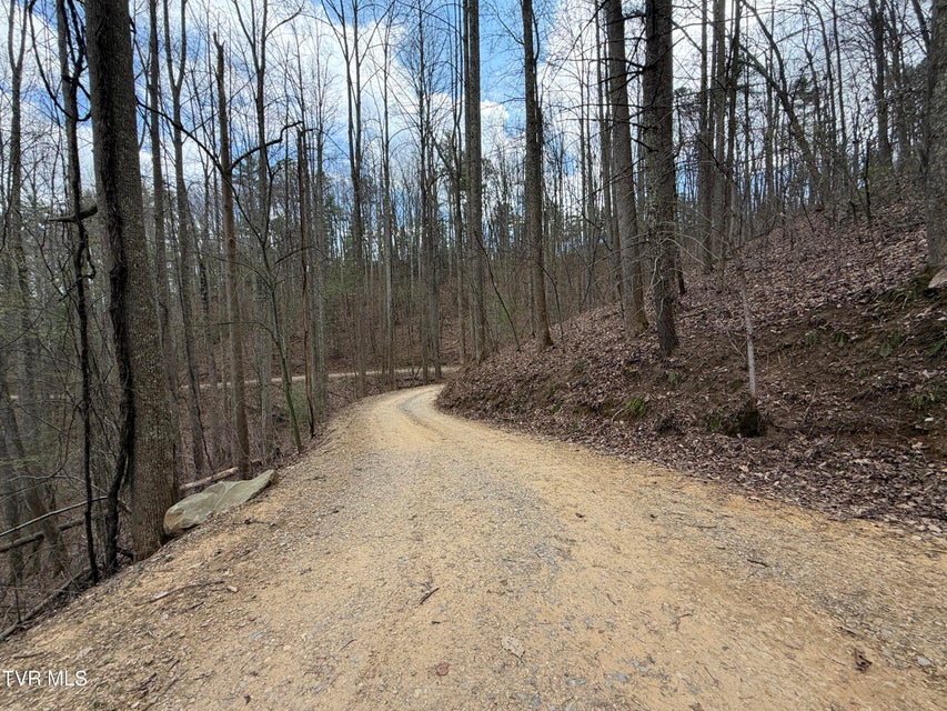 Photo #5: 4.01 Reece Hollow Road