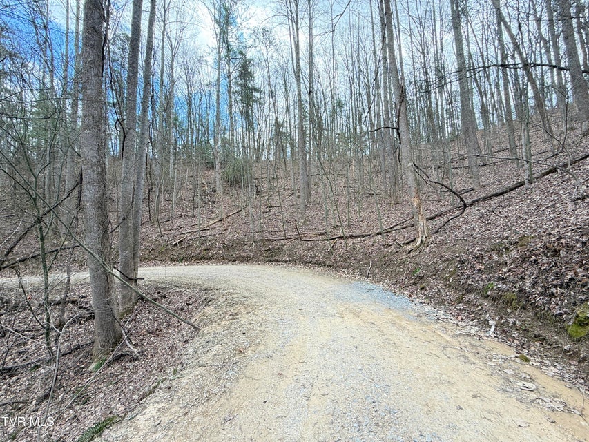 Photo #6: 4.01 Reece Hollow Road