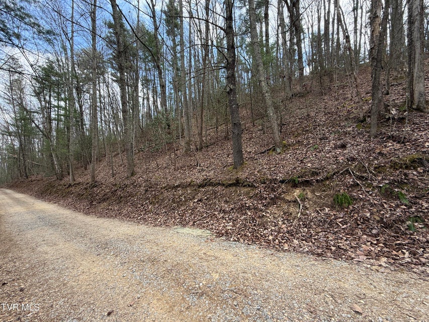 Photo #3: 4.01 Reece Hollow Road