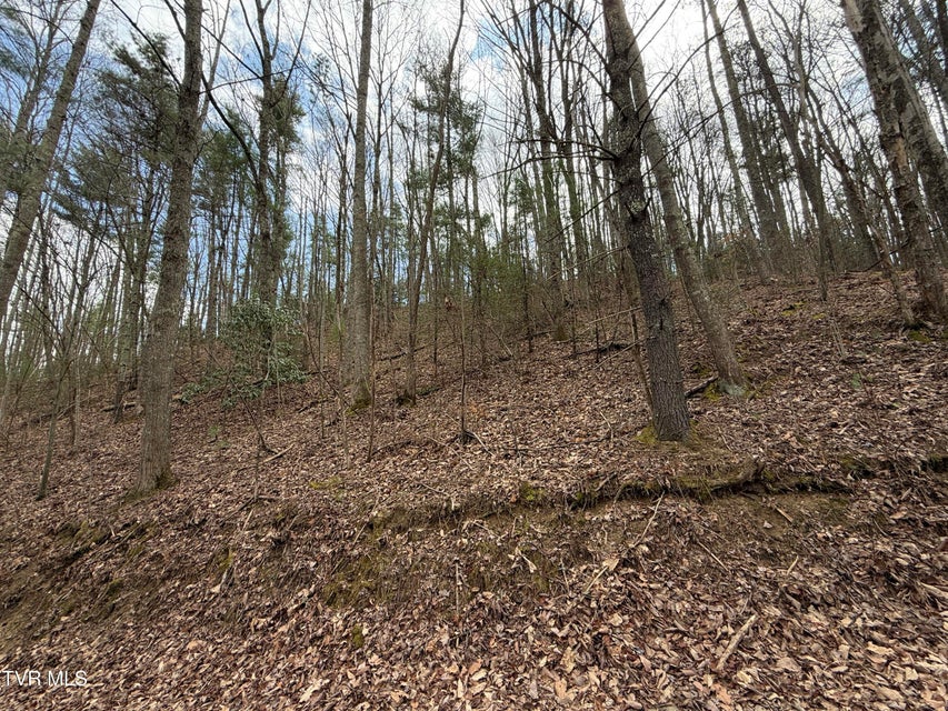 Photo #9: 4.01 Reece Hollow Road