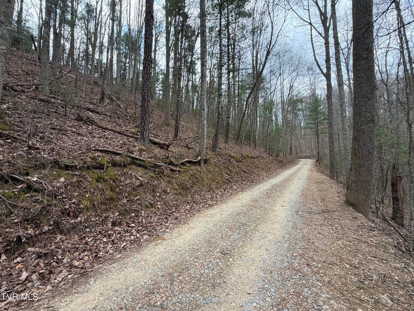 Photo #10: 4.01 Reece Hollow Road