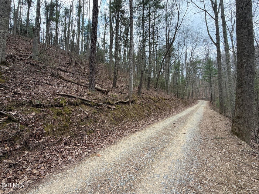 Photo #11: 4.01 Reece Hollow Road