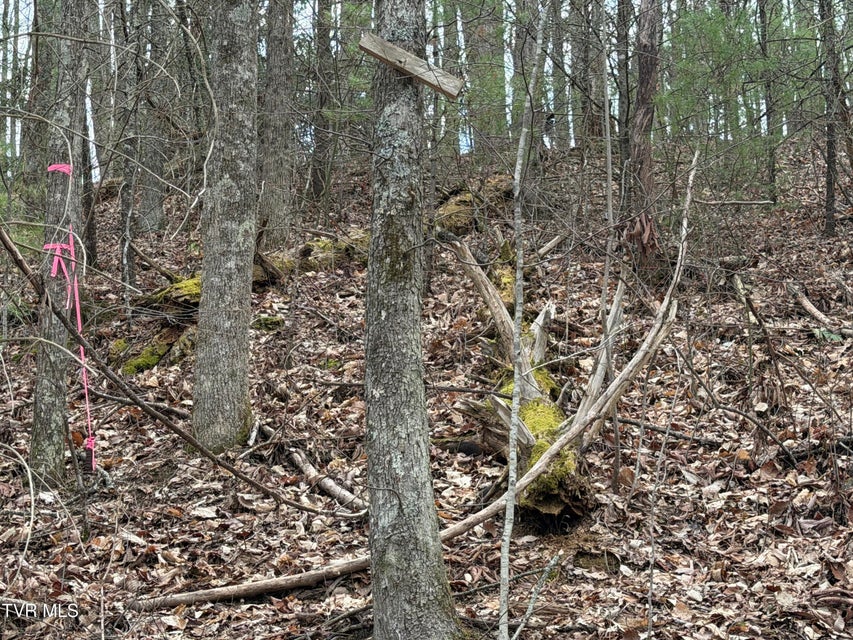 Photo #12: 4.01 Reece Hollow Road