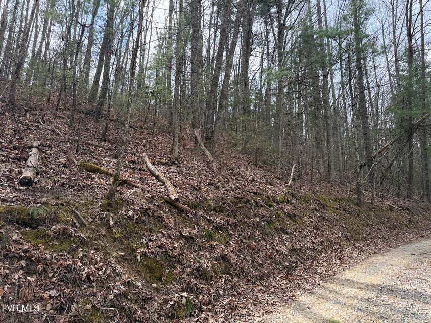 Photo #13: 4.01 Reece Hollow Road