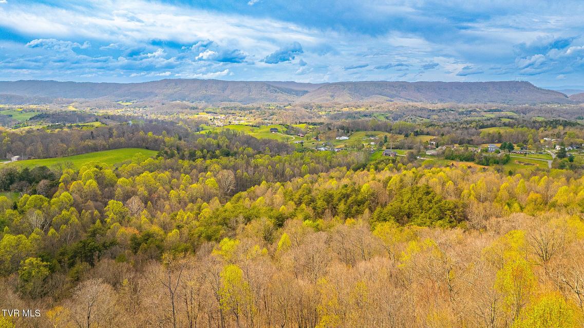 Photo #27: 512 Wood View Court