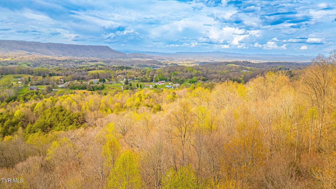 Photo #28: 512 Wood View Court