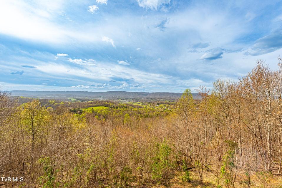 Photo #79: 512 Wood View Court