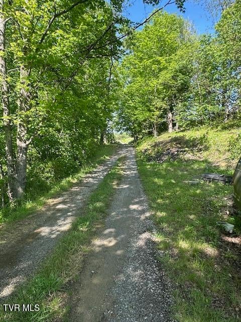 Photo #13: 2226 Fordtown Road