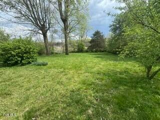 Photo #6: 127 Chapel Street