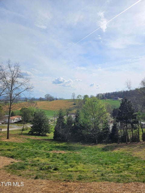 Photo #18: 1029 Red Bud Lane