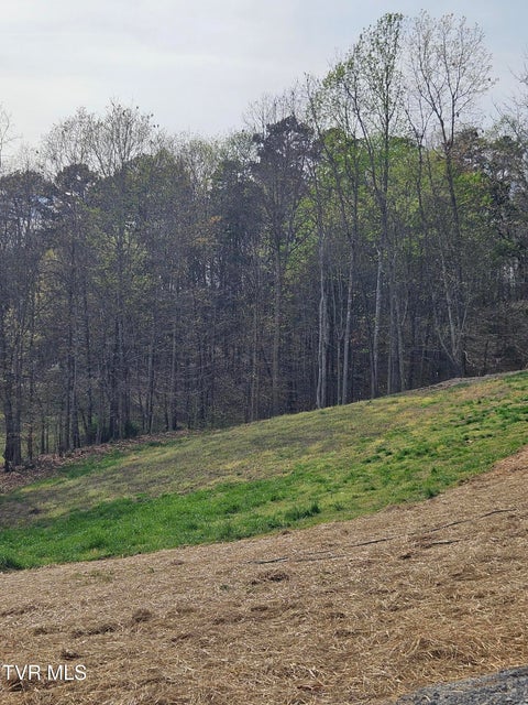 Photo #23: 1029 Red Bud Lane