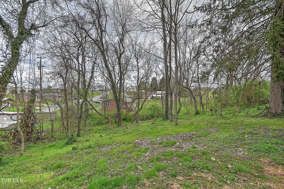 Photo #27: 5 Birch Street