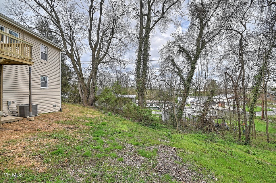 Photo #28: 5 Birch Street