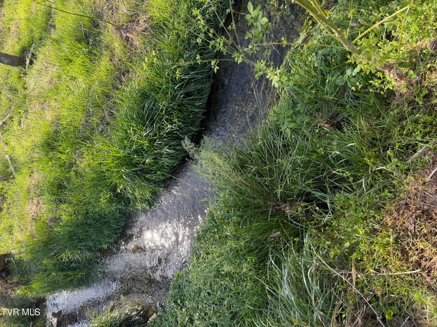 Photo #30: 2200 Sunnyside Road