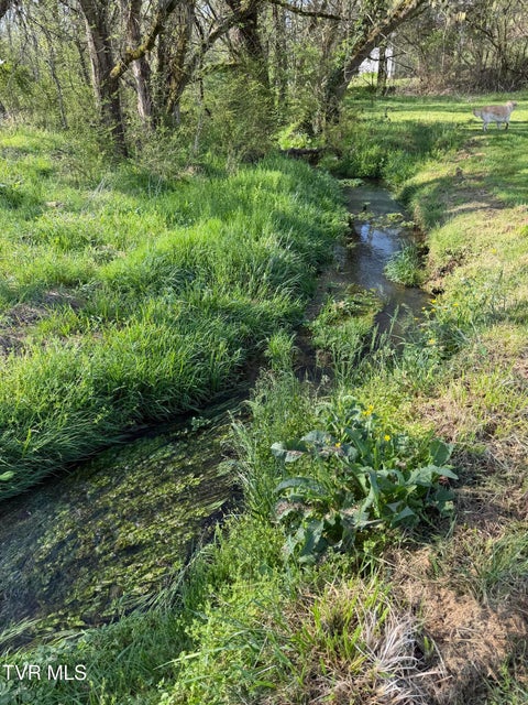 Photo #29: 2200 Sunnyside Road