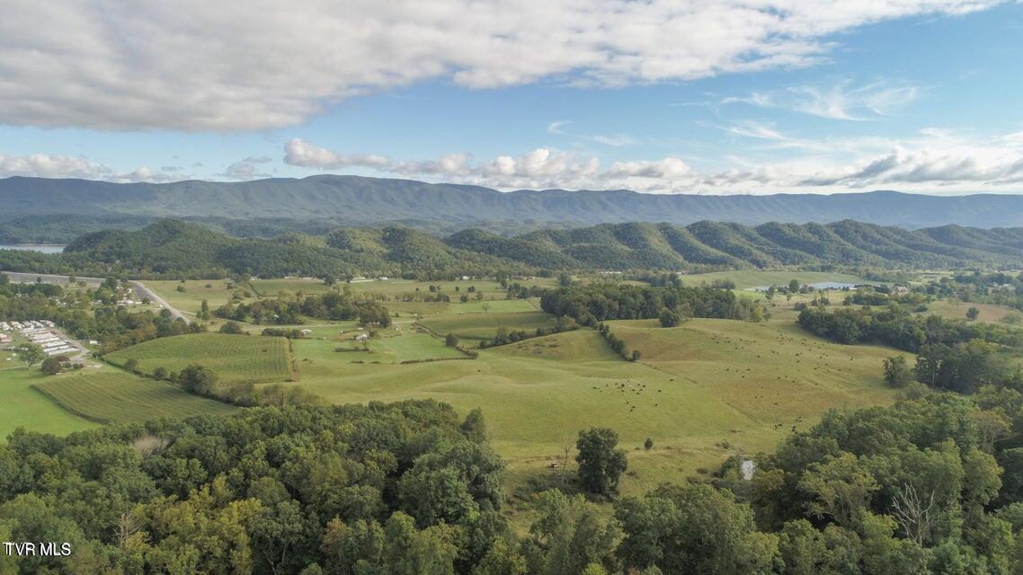 Photo #5: 661 & 683 Tennessee 44 