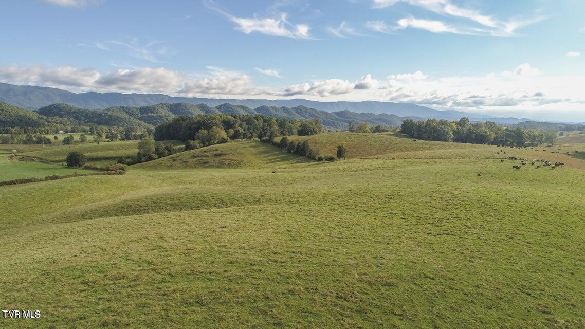 Photo #8: 661 & 683 Tennessee 44 