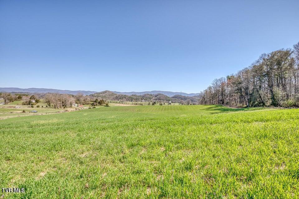 Photo #4: 661 & 683 Tennessee 44 