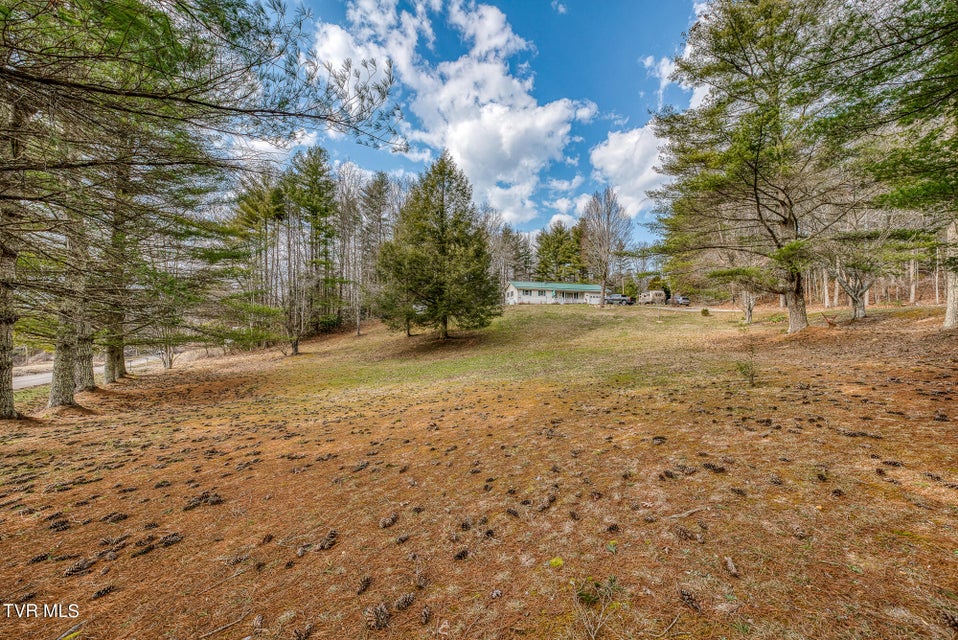 Photo #36: 557 Waddell Road