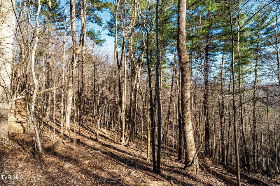 Photo #17: Tbd Lonesome Pine Trail