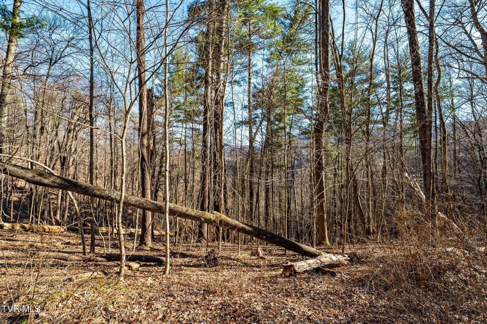 Photo #18: Tbd Lonesome Pine Trail