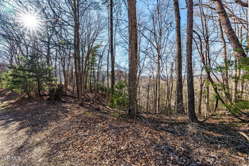 Photo #20: Tbd Lonesome Pine Trail