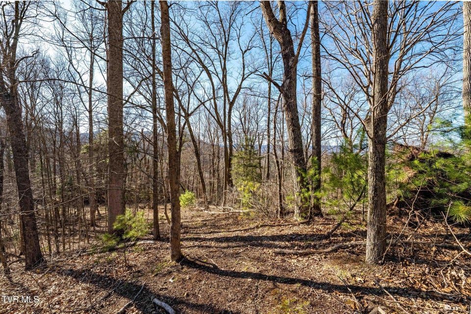 Photo #23: Tbd Lonesome Pine Trail