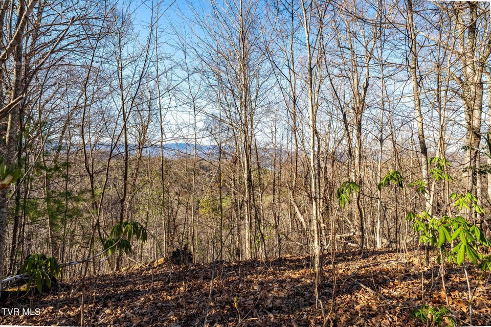 Photo #24: Tbd Lonesome Pine Trail