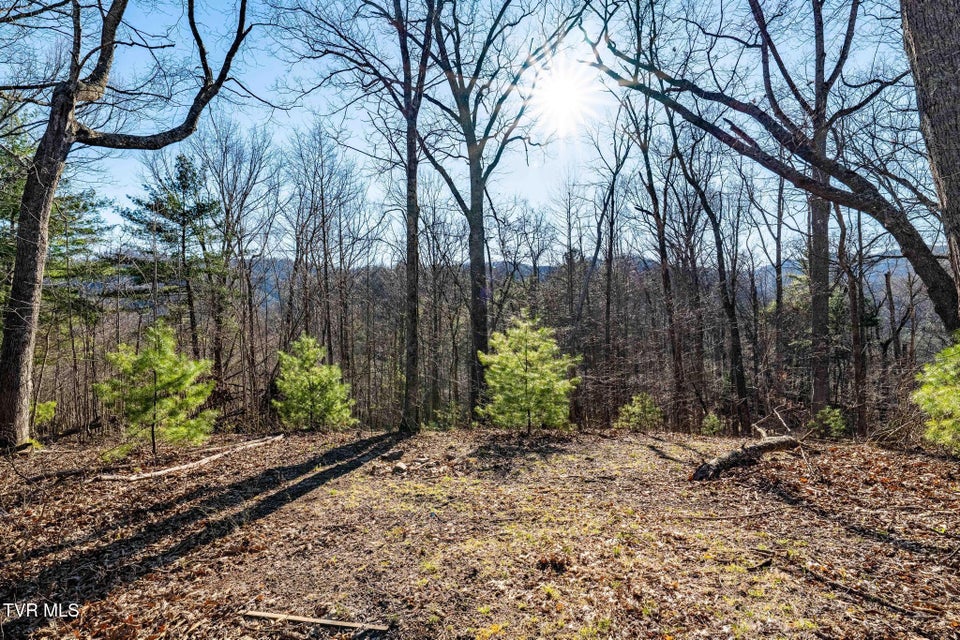 Photo #26: Tbd Lonesome Pine Trail