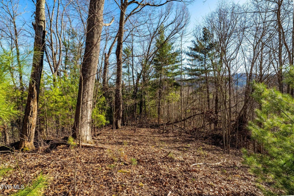 Photo #27: Tbd Lonesome Pine Trail