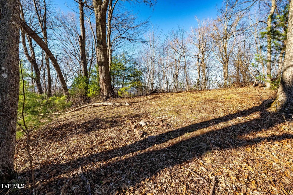 Photo #4: Tbd Lonesome Pine Trail