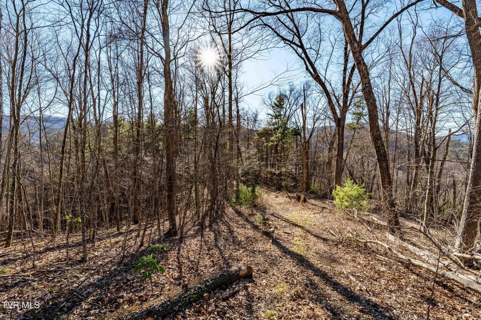 Photo #28: Tbd Lonesome Pine Trail