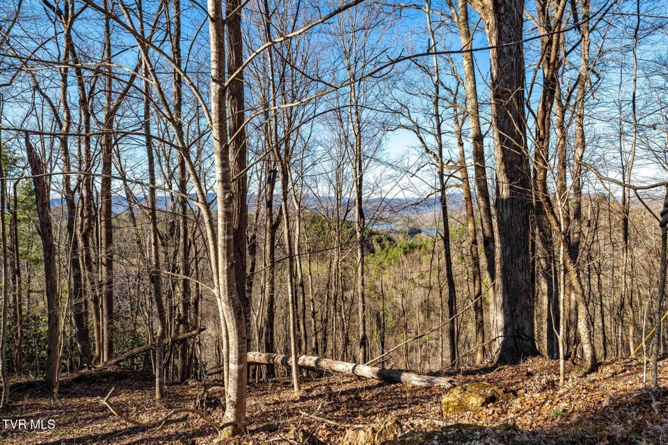 Photo #29: Tbd Lonesome Pine Trail