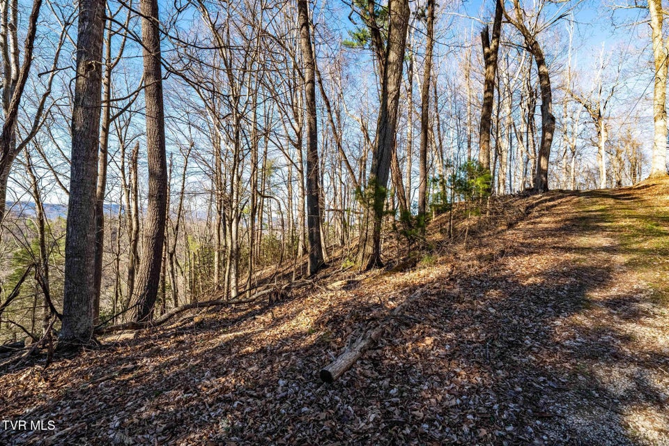 Photo #30: Tbd Lonesome Pine Trail