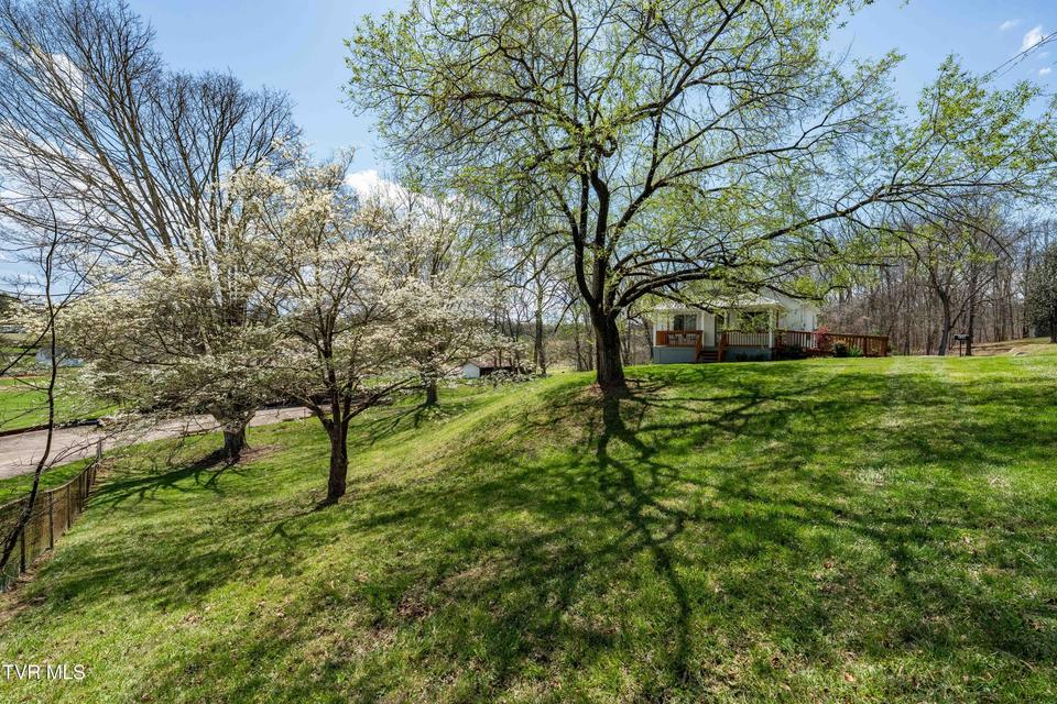 Photo #27: 136 Gilliam Lane