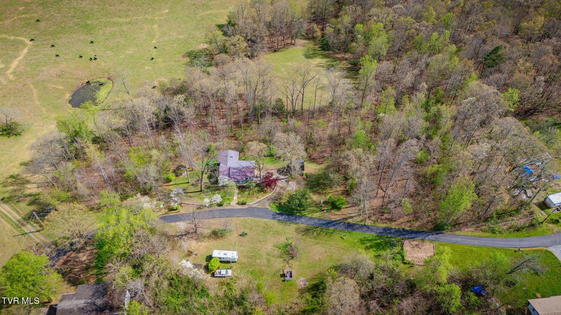 Photo #37: 101 Hickory Circle