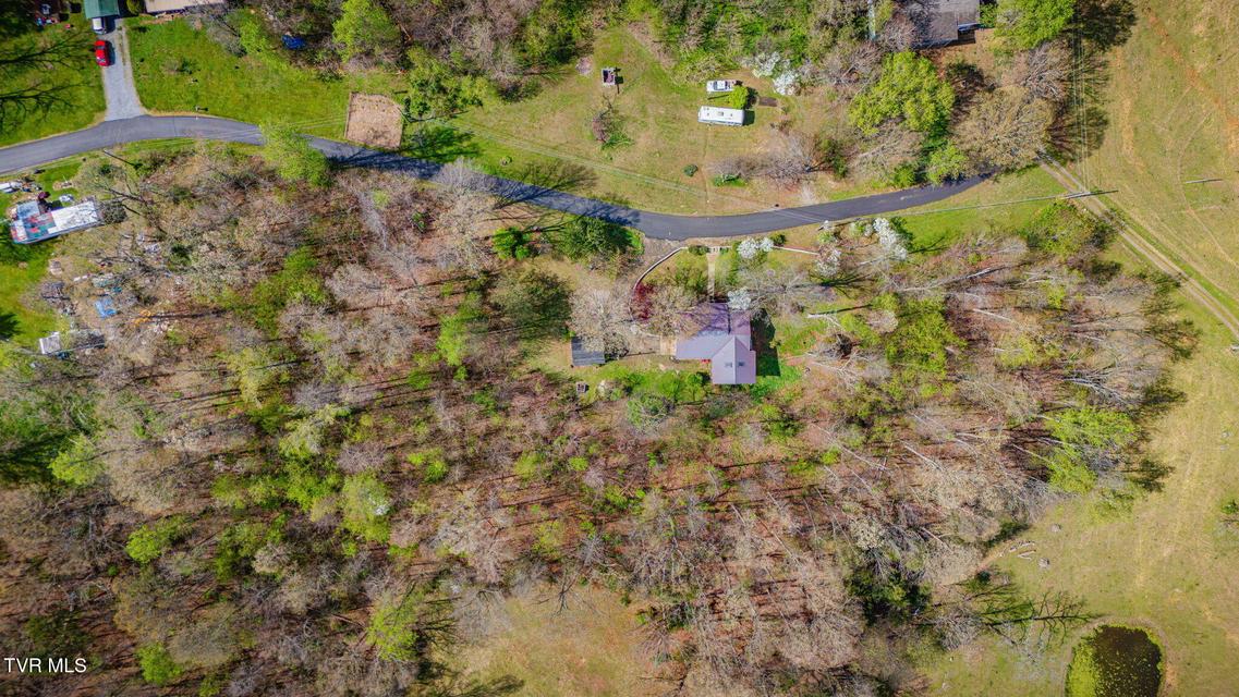 Photo #41: 101 Hickory Circle