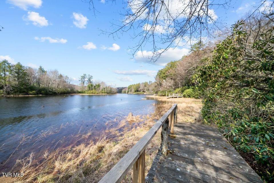 Photo #8: 342 Ripshin Lake Road