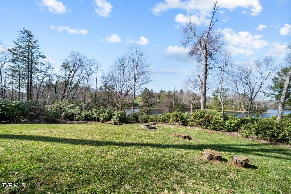 Photo #48: 342 Ripshin Lake Road