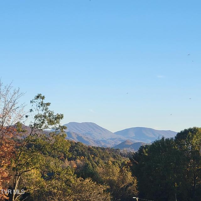 Photo #2: 00 B Johnson Road