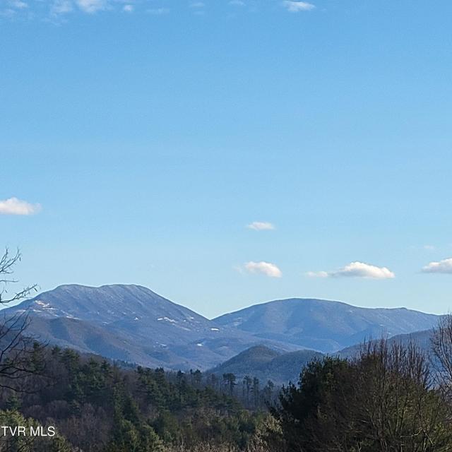 Photo #4: 00 B Johnson Road