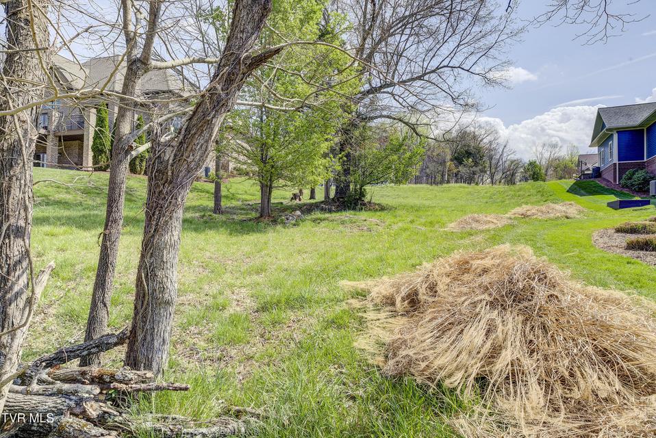 Photo #20: 156 Forest Lane