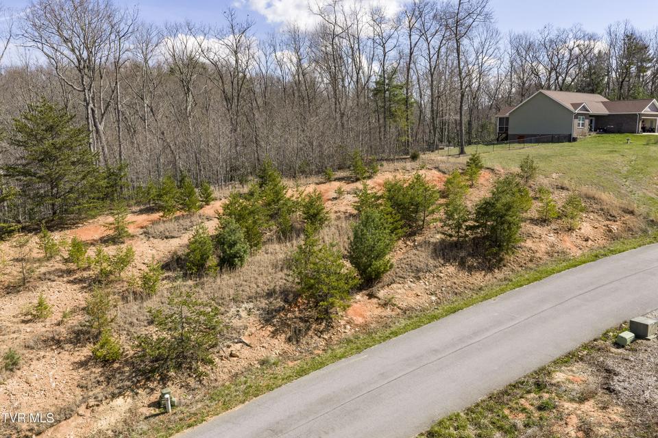 Photo #4: Lot 47 Homestead Drive