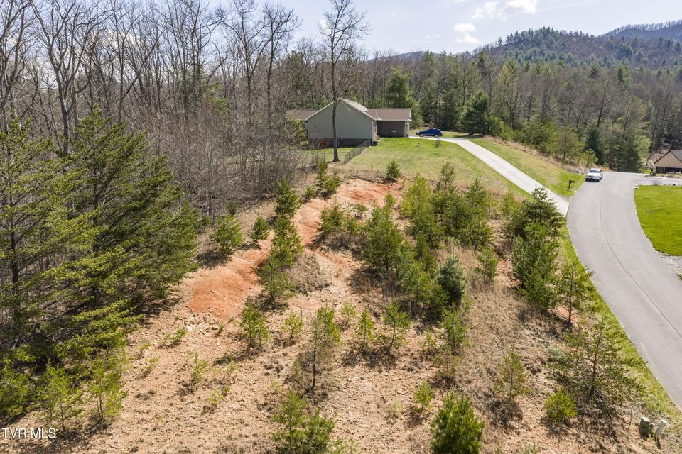 Photo #5: Lot 47 Homestead Drive